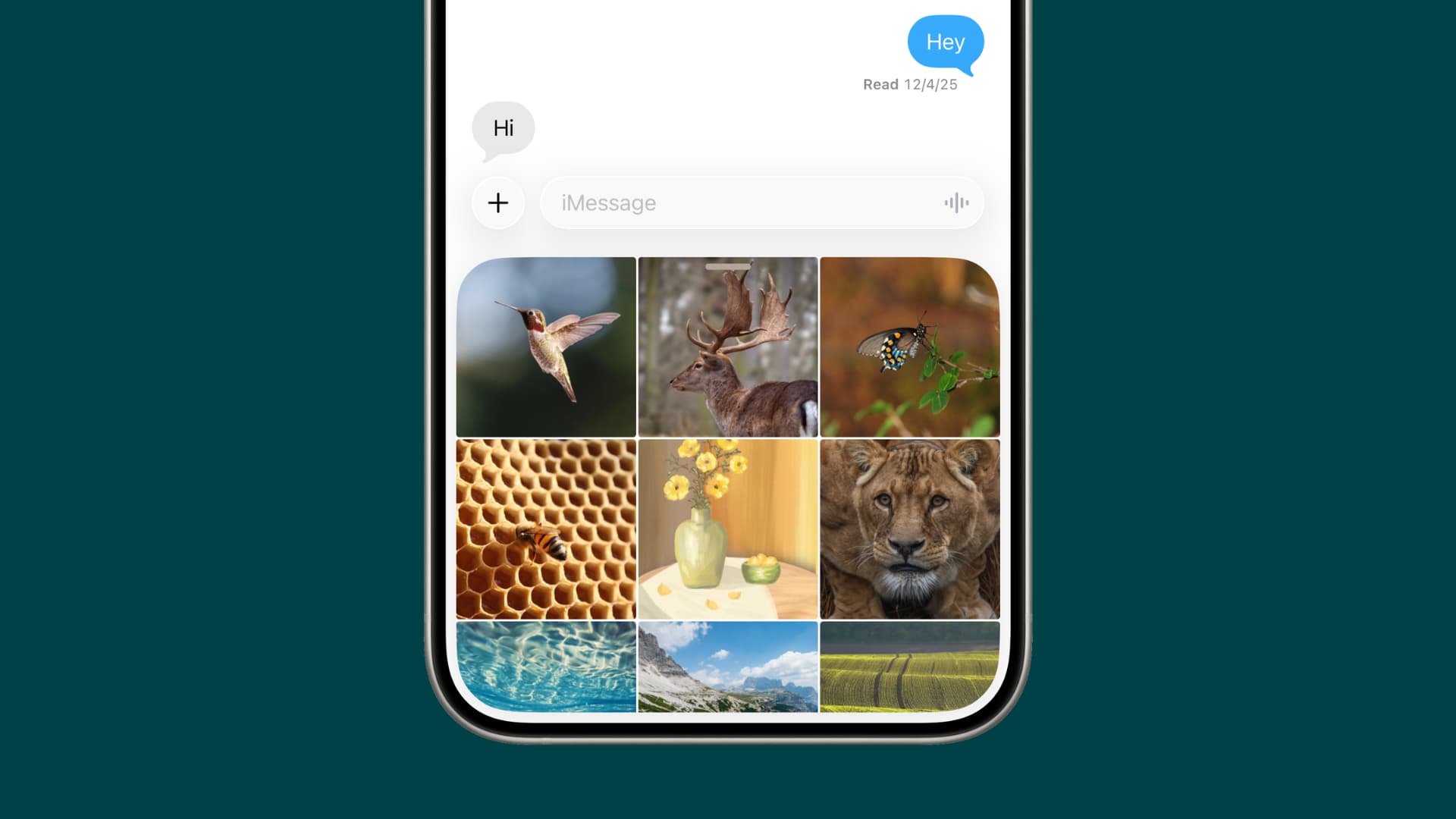 Problème d'affichage du sélecteur de photos dans l'application Messages de l'iPhone